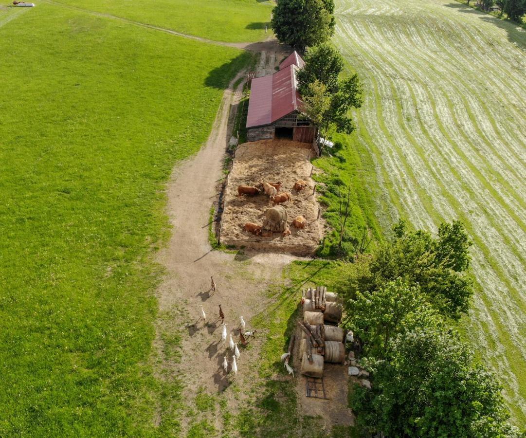 Dylewianka Vila Wysoka Wieś Exterior foto