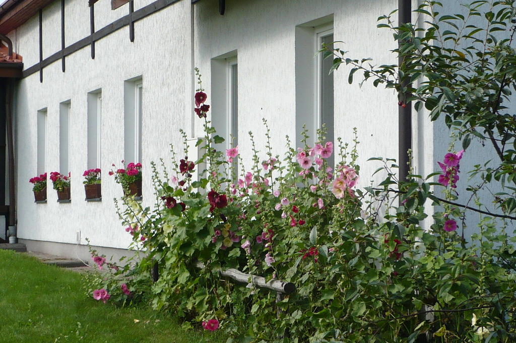 Dylewianka Vila Wysoka Wieś Exterior foto